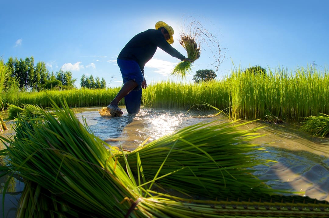  Agar Harta Wakaf Bisa Produktif