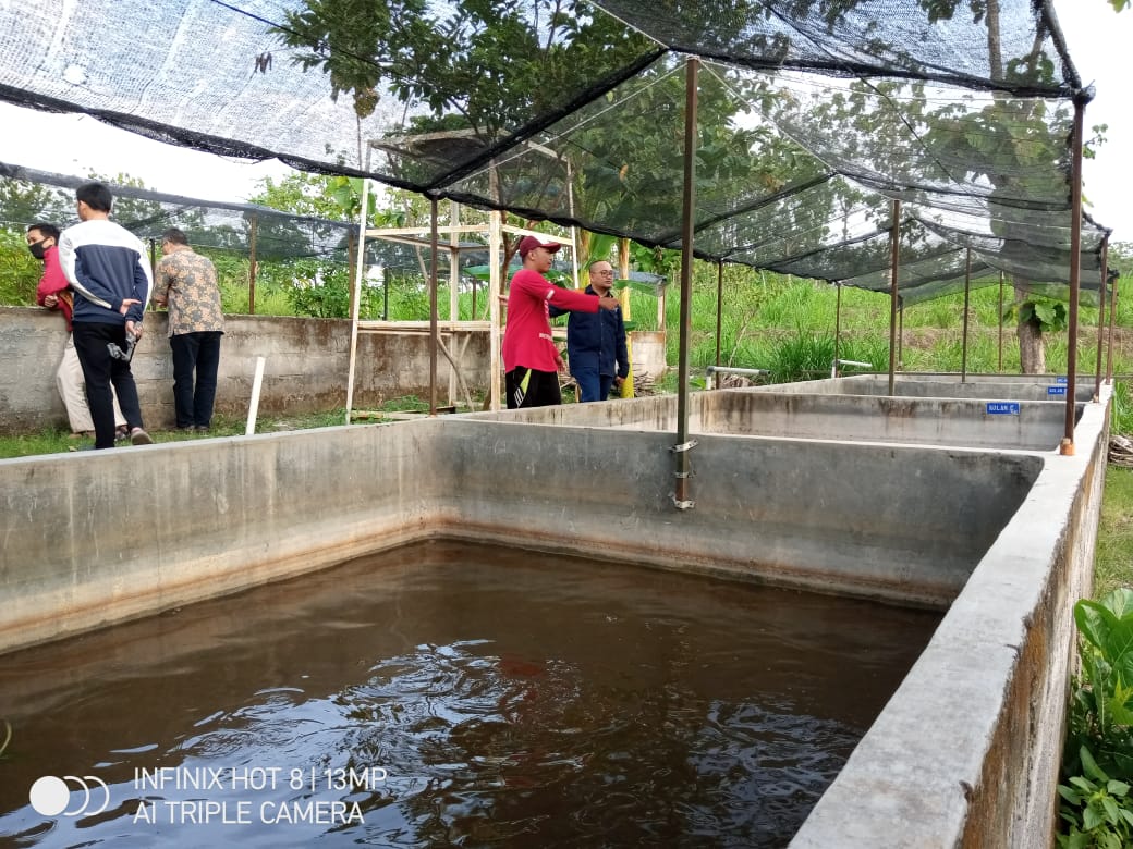  Study Banding Lazismu Di Wakaf Produktif Sragen