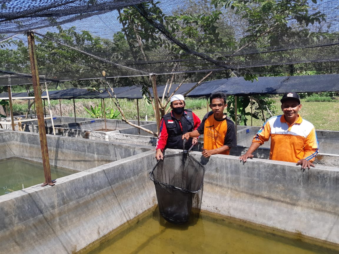  WAKAF BISA JADI SOLUSI KETAHANAN PANGAN SAAT PANDEMI