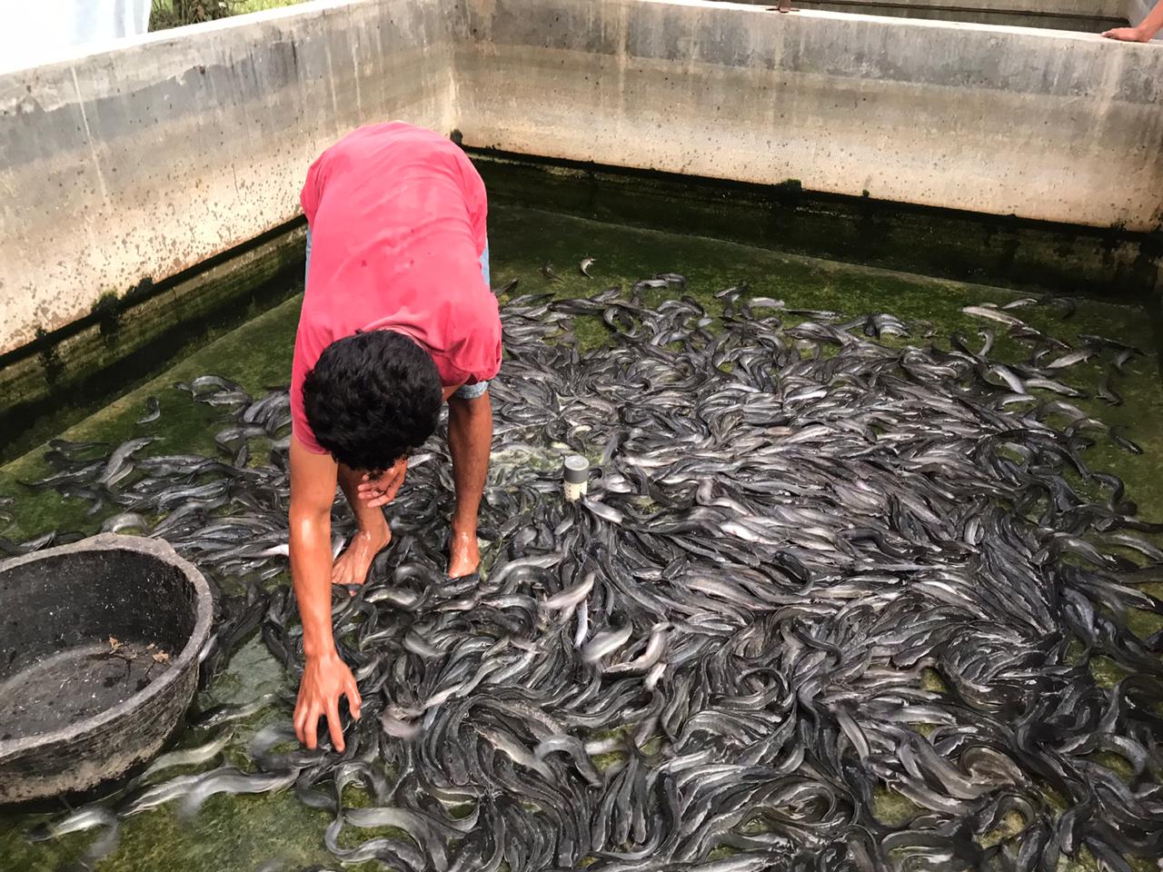  Panen Lele Wakaf Produktif