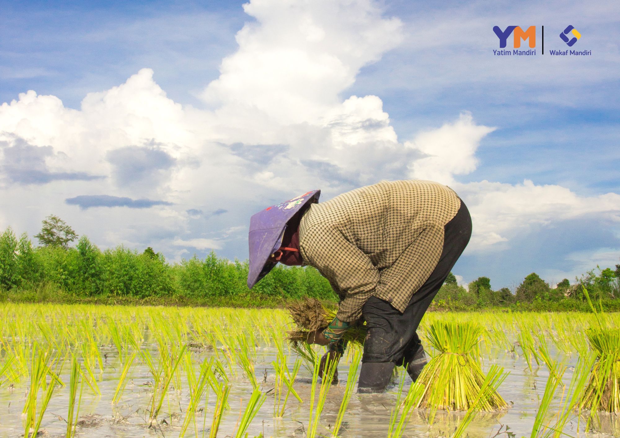  Pengelolaan Wakaf Di Gemolong Jawa Tengah