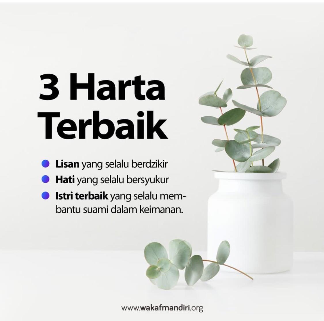  3 Harta Terbaik 