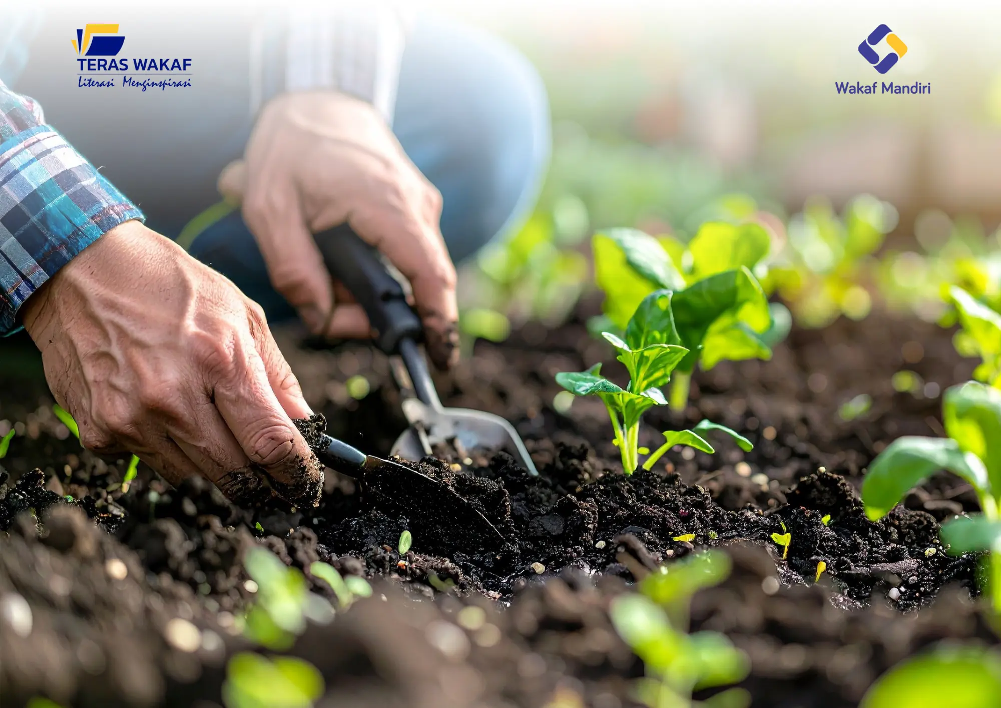  Teladan Umar Bin Khattab Mewakafkan Kebun Terbaiknya