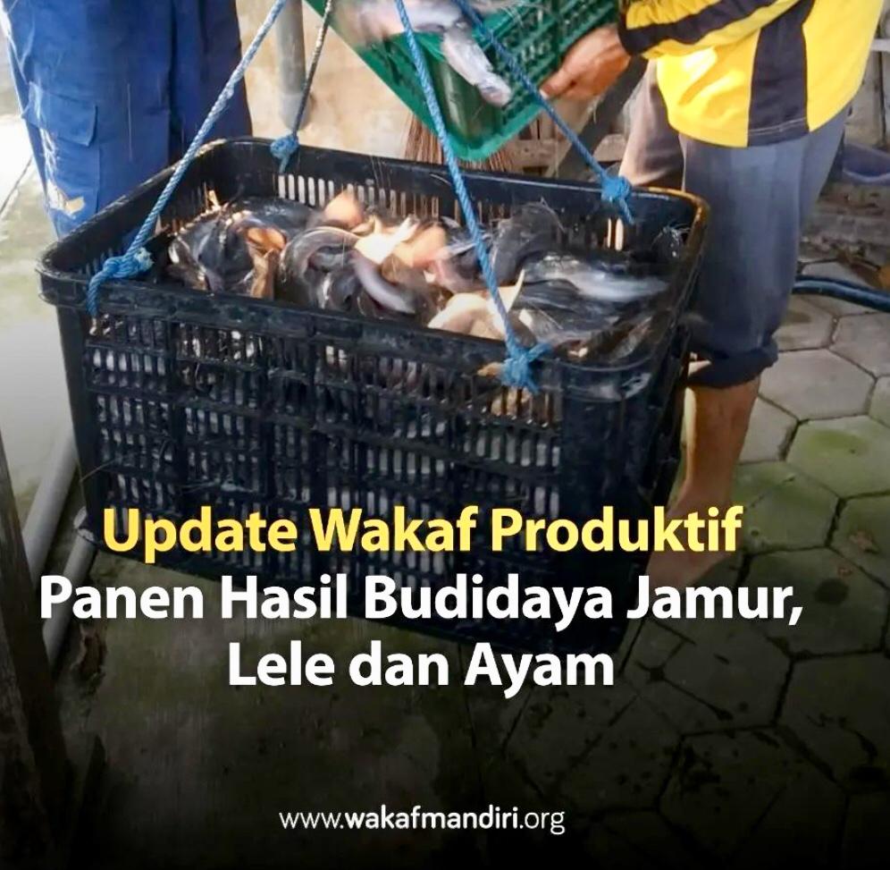  Update Wakaf Anda di Badan Wakaf Mandiri