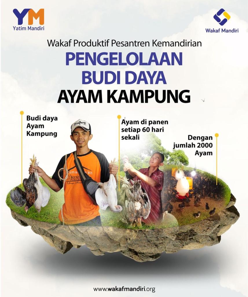  Wakaf Produktif, Budidaya Ayam Kampung